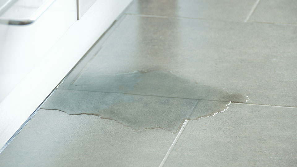 Have You Come Home to a Water Leak?