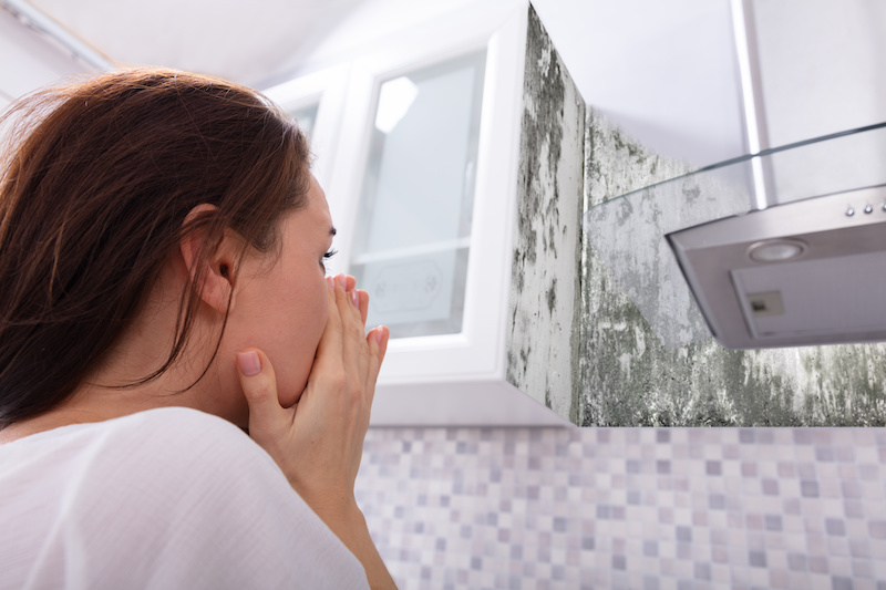 Side View Of A Young Woman Looking At Mold On Wall
