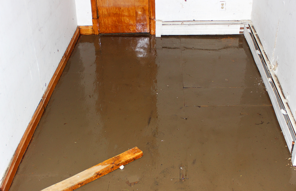 Flooded basement, suitable for contractors or basement renovation specialists