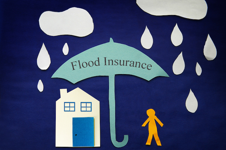 An animation of a person standing in front of their house with clouds above and rain falling. Both person and house are under an umbrella with the text "Flood Insurance" written on it, depicting that both are covered