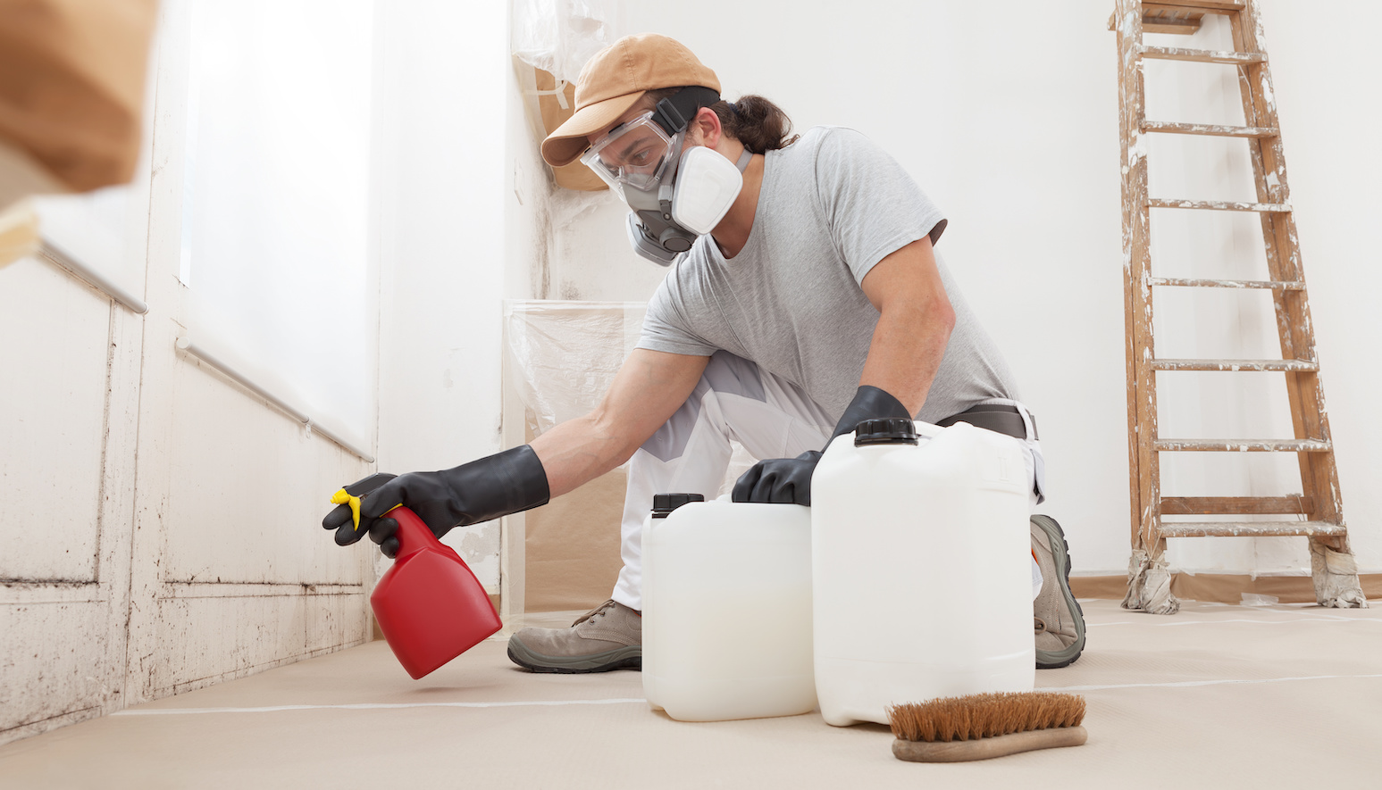 In the home renovation site worker using products for mold remediation treatment wearing a respirator mask and using bottle spray. Concept of how long does mold remediation take?