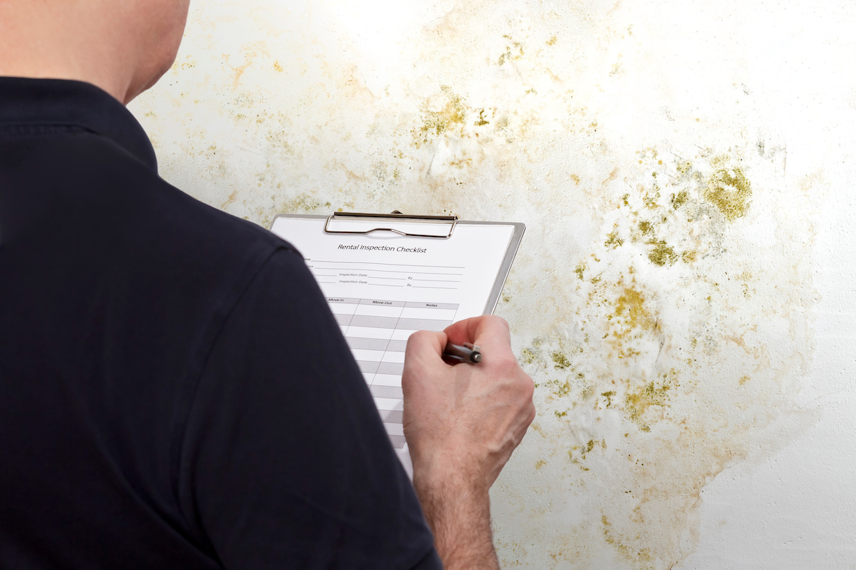 Man with an inspection checklist in front of a white wall overgrown with mold, mildew, or fungus. Depicts mold inspection vs. testing.