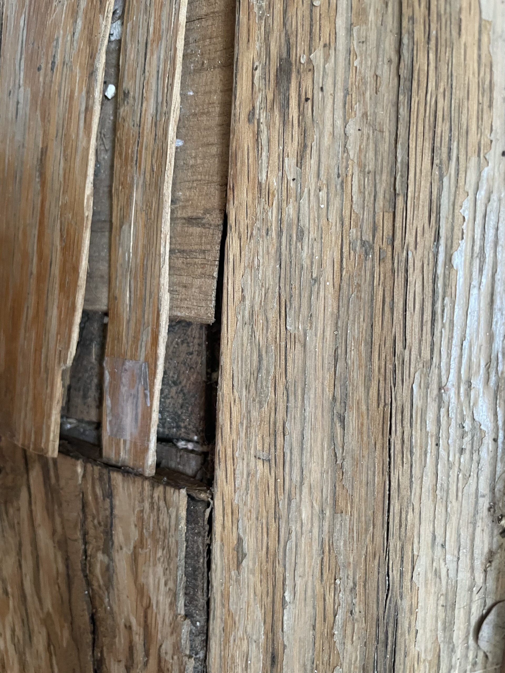 A wooden floor, damaged by a leak, with mold growing in the cracks. Shows the long-term effects of untreated water damage.