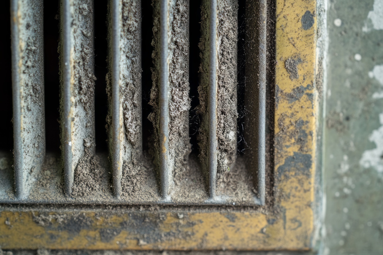 Close-up of a dirty air duct covered in mold.